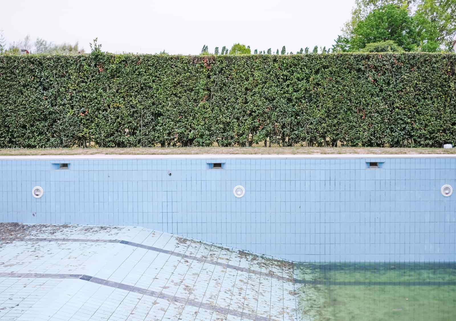 A neglected swimming pool with green algae-filled water
