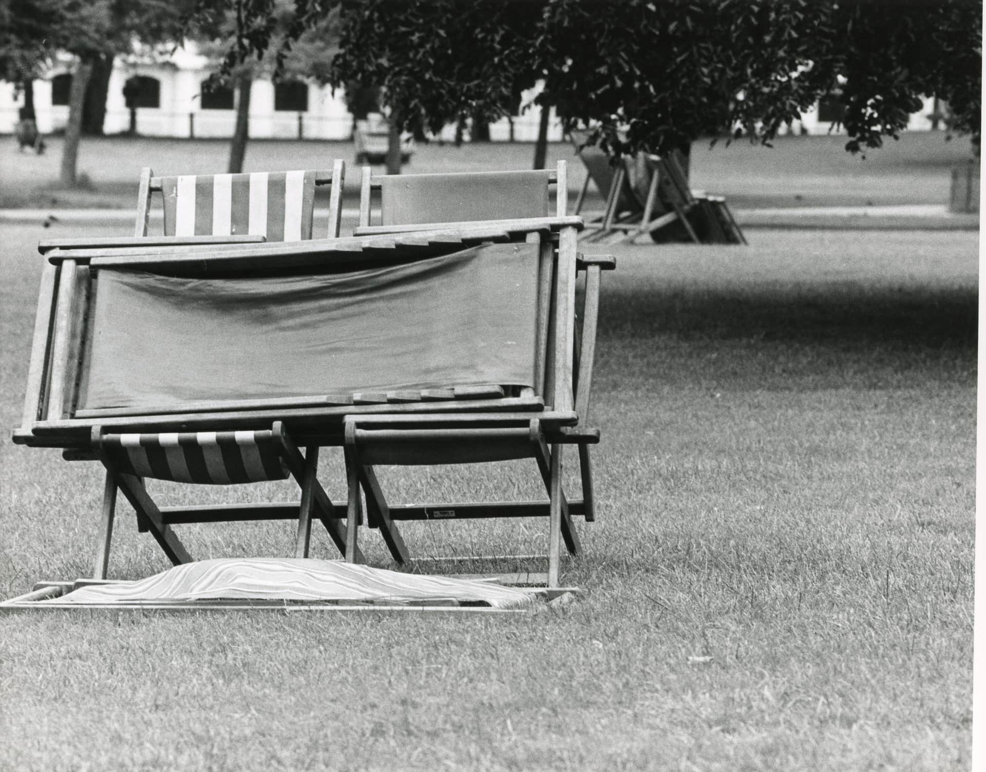 Empty deck chairs on a lawn