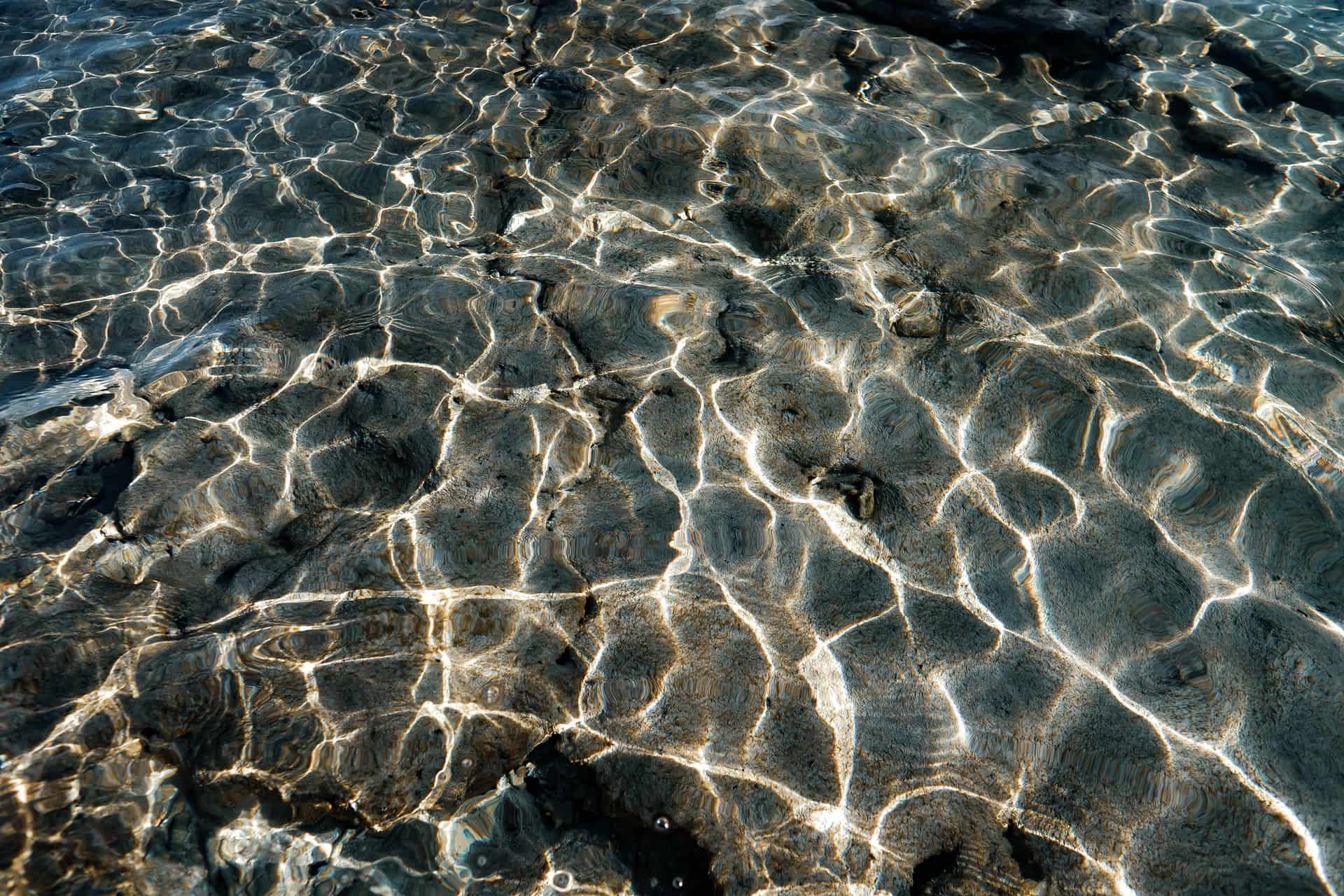 Sunlight scattering across a rippled water surface