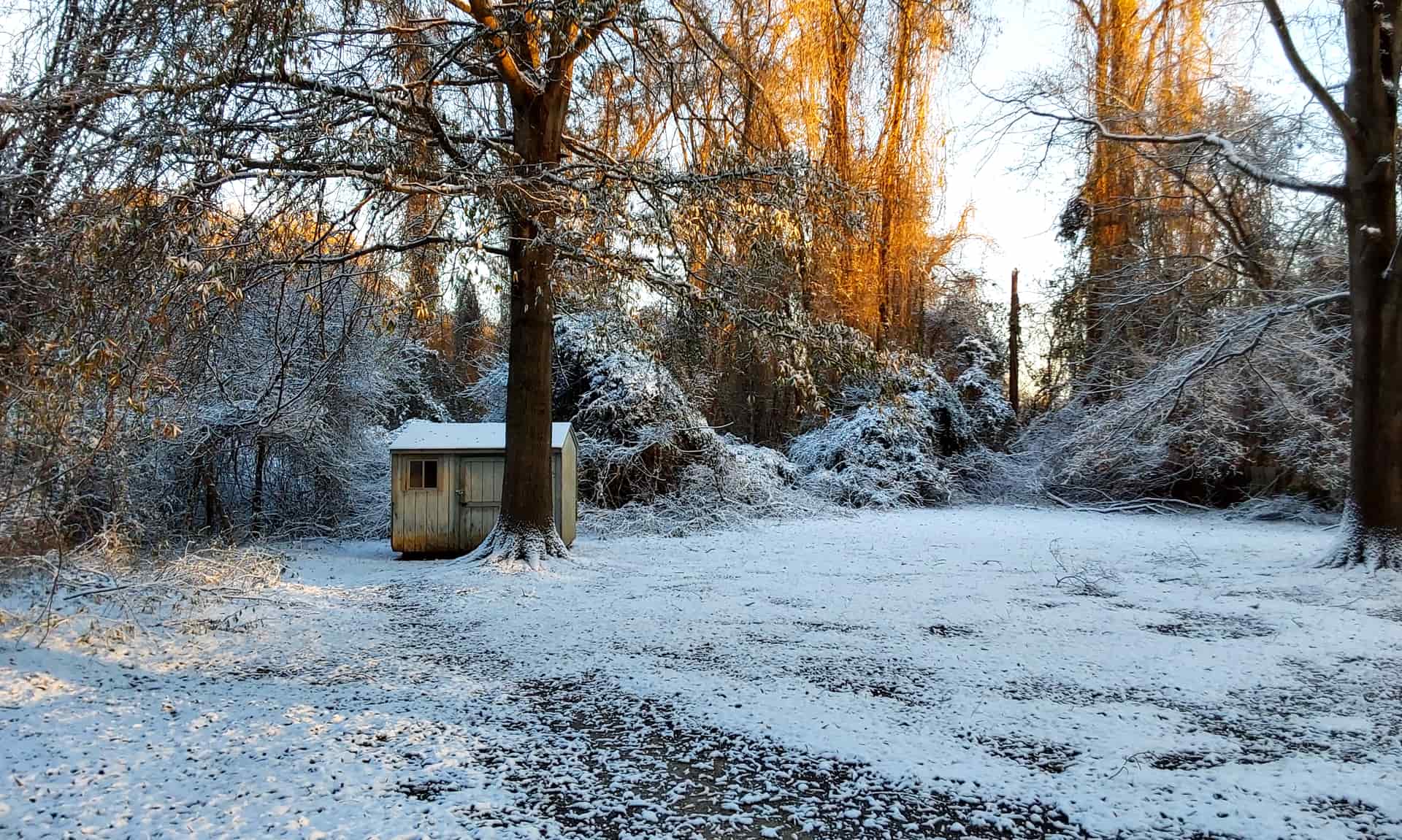 A snow-covered backyard with bare trees