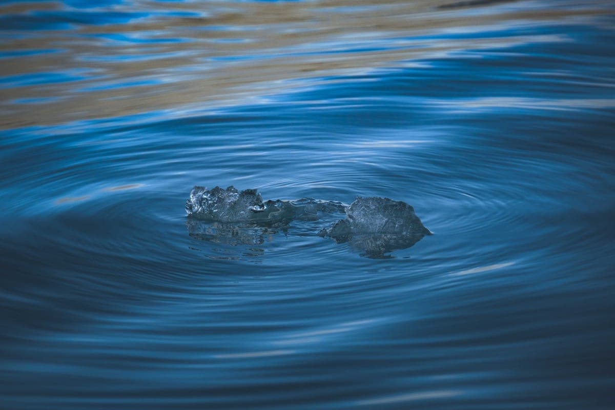 A piece of ice floating on dark blue water