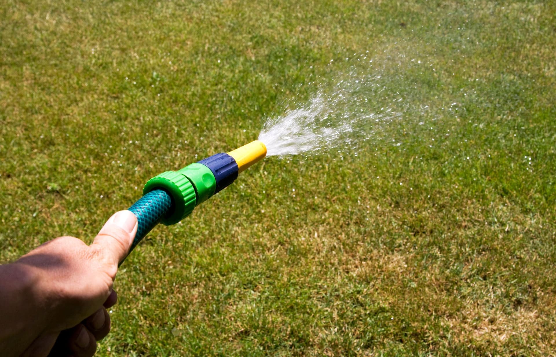 A garden hose running water out onto grass