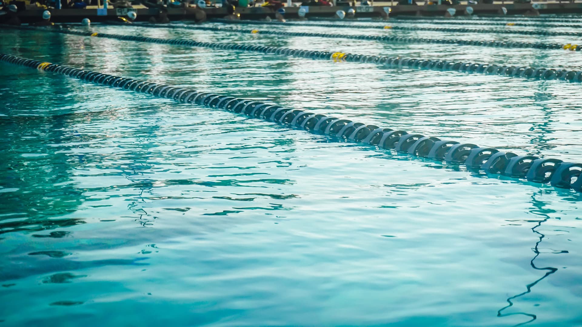 Clear blue pool water with lane dividers