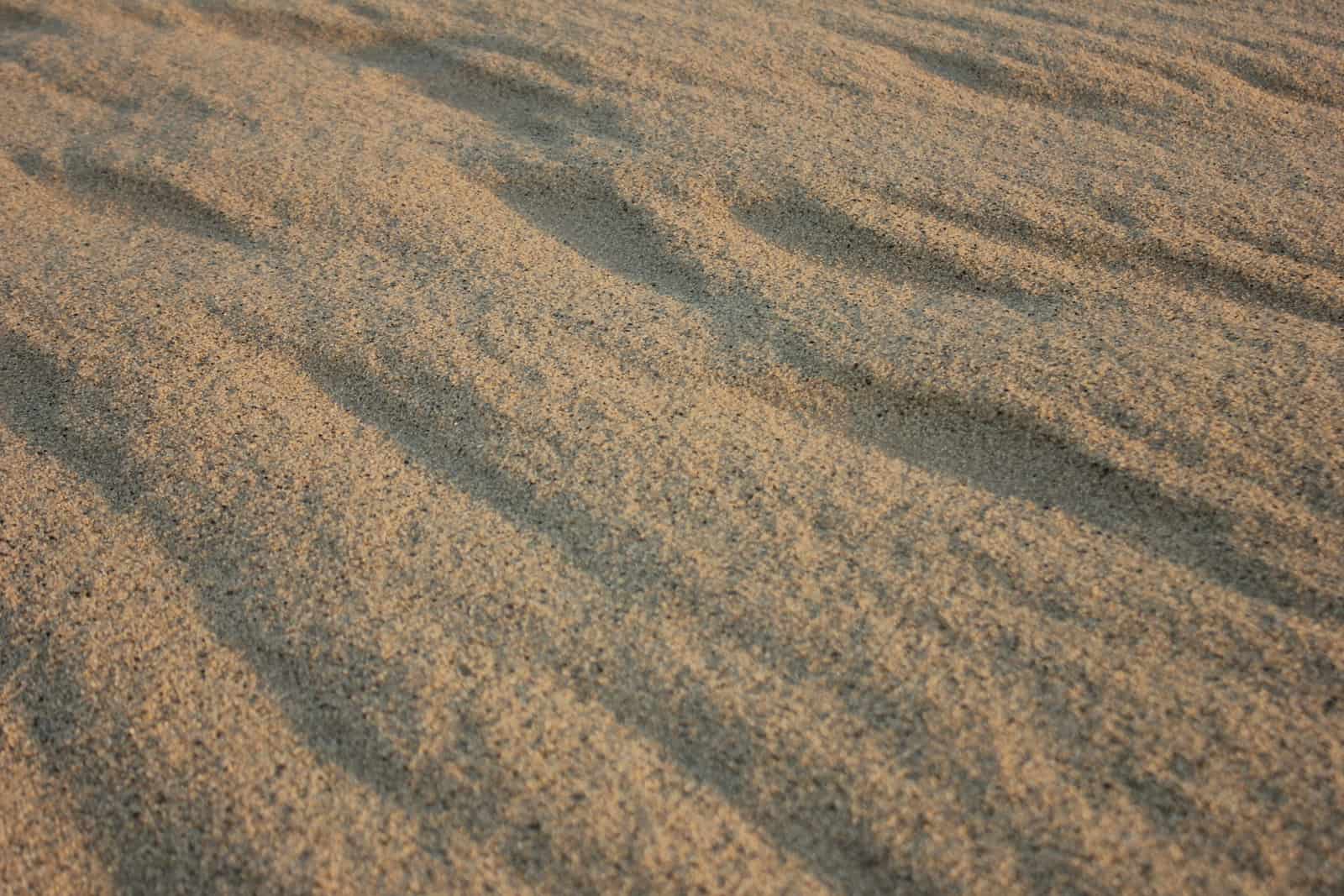 Close-up texture of sand grains