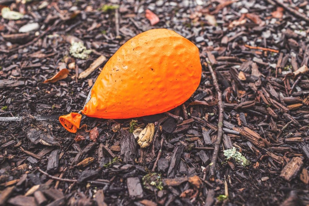 A deflated inflatable ring lying on the ground