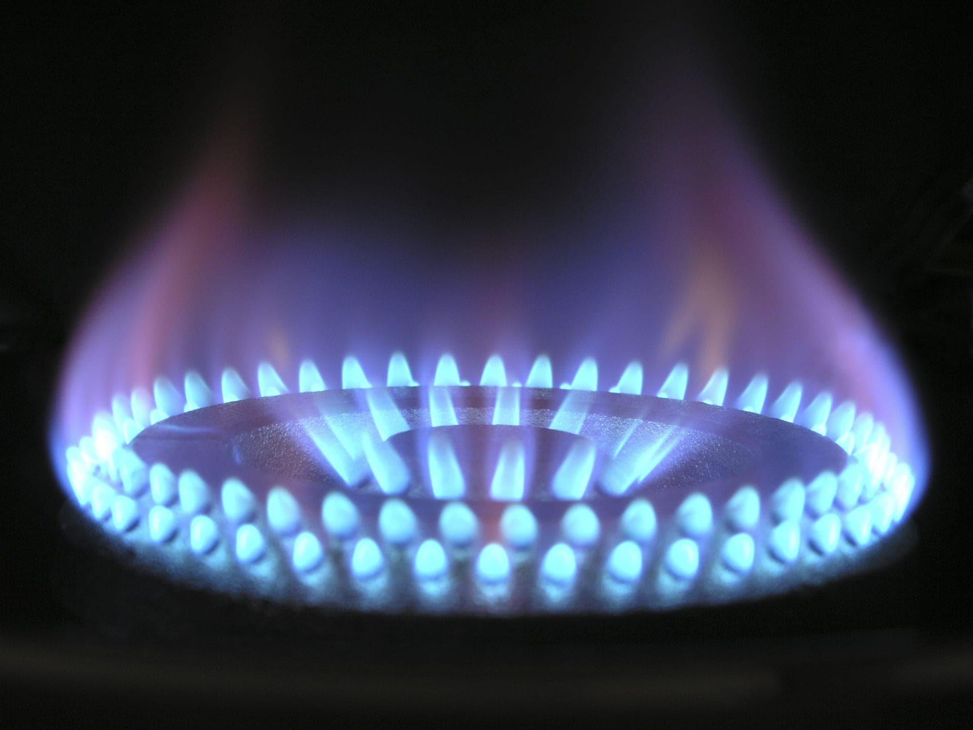 A blue gas flame on a burner ring