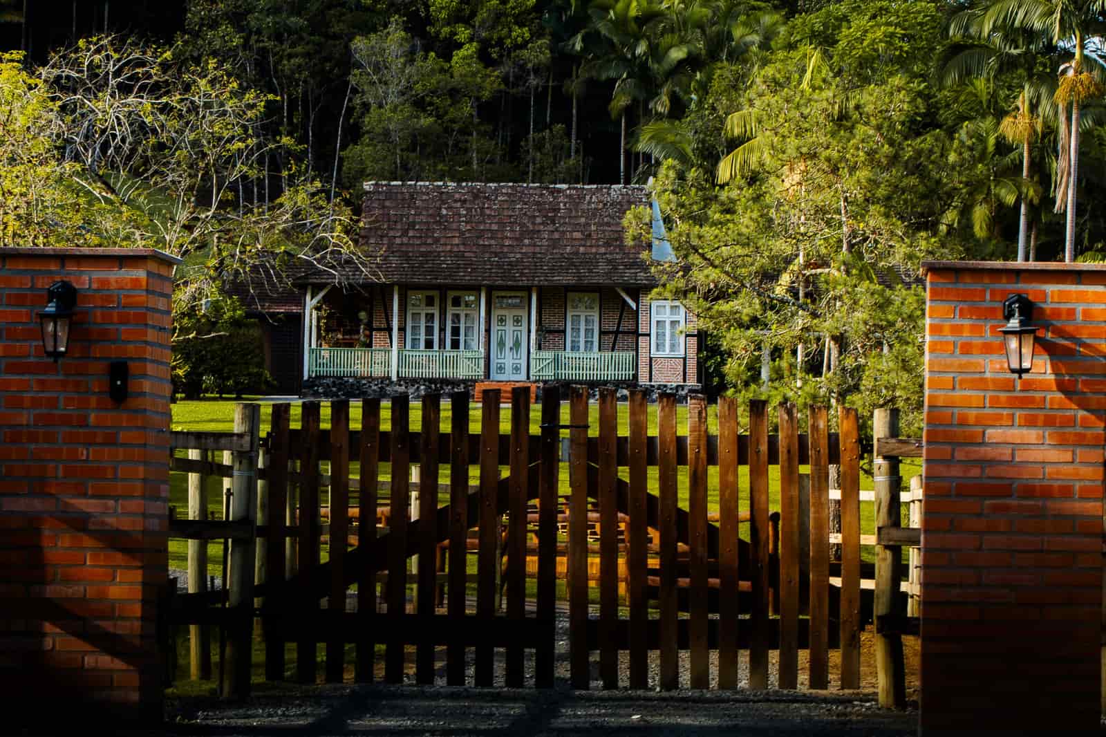 A wooden garden fence with a gate in a back garden
