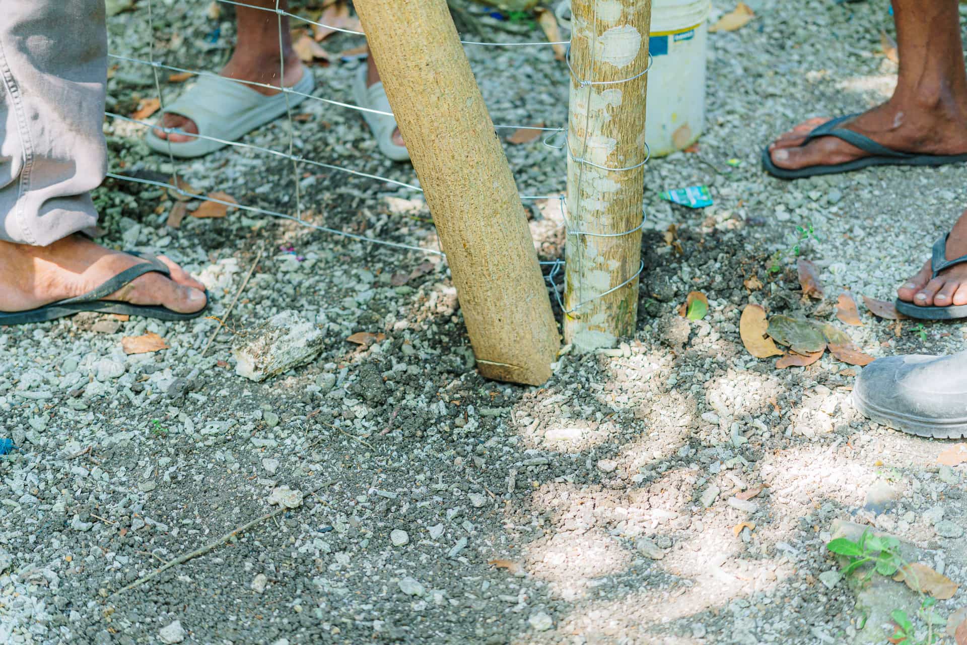 Workers installing a wooden fence post