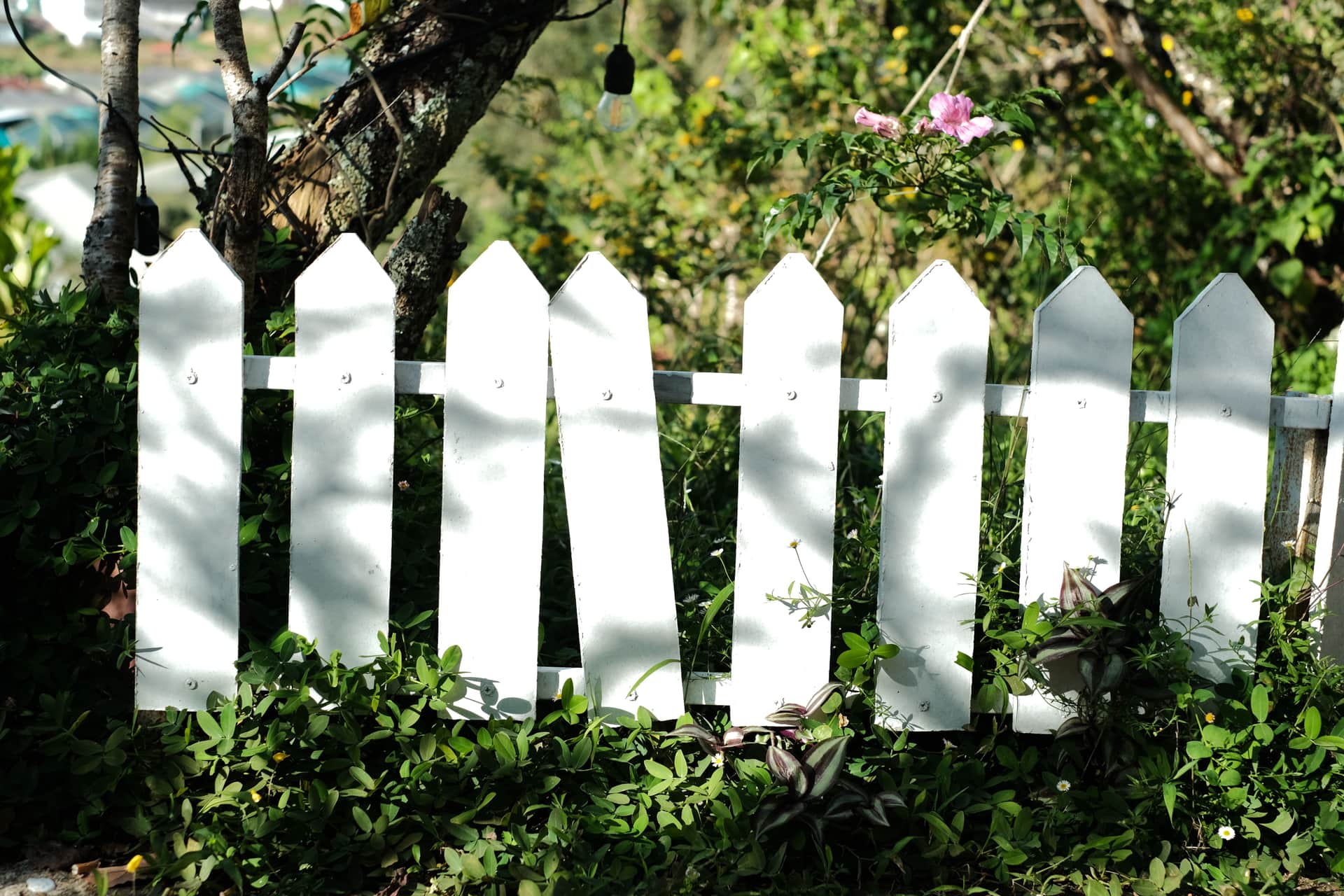 A white picket fence in a sunny garden