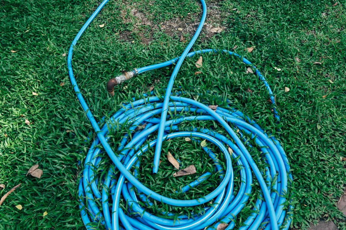 A coiled blue garden hose lying on grass
