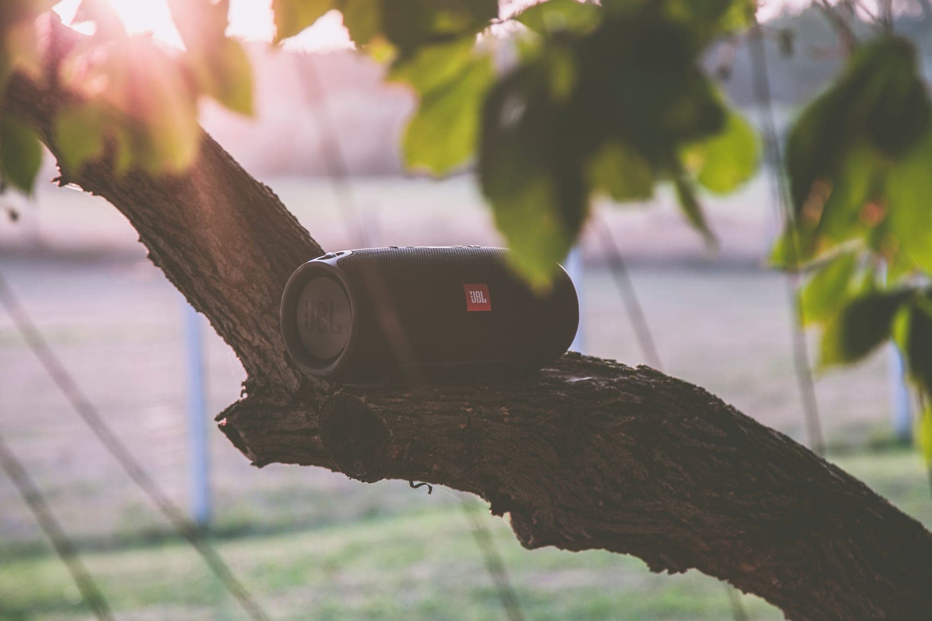 A portable bluetooth speaker resting on a tree branch