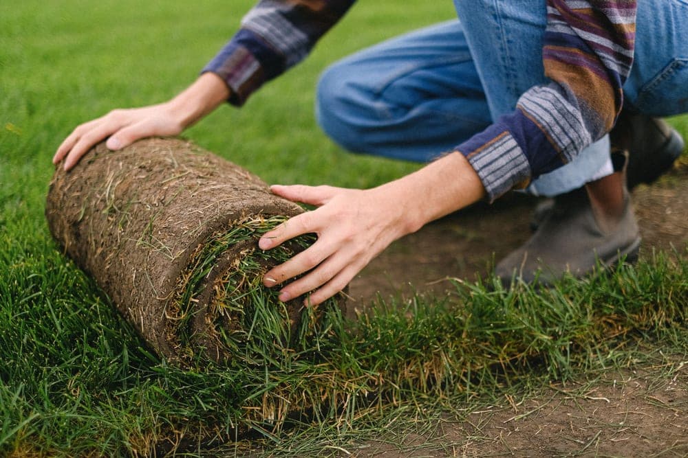 A person preparing and leveling ground in a garden