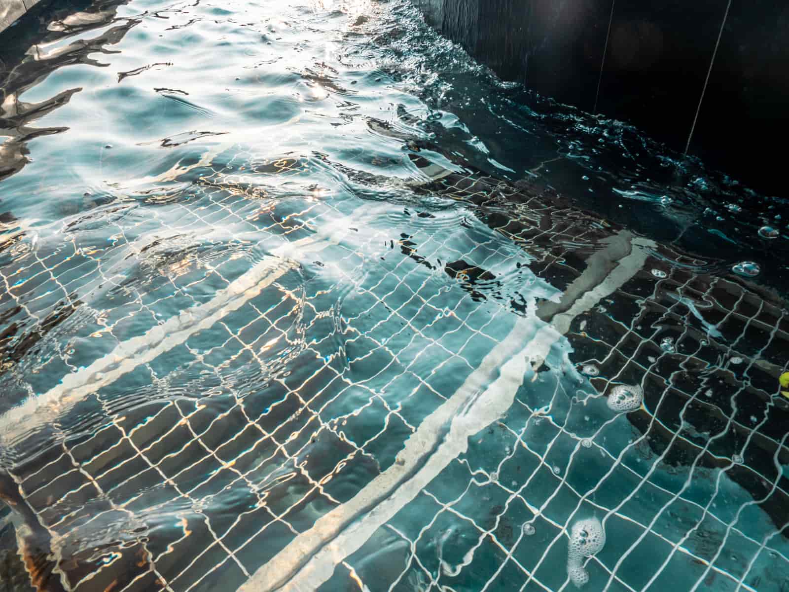 The tiled floor of a swimming pool seen through moving water