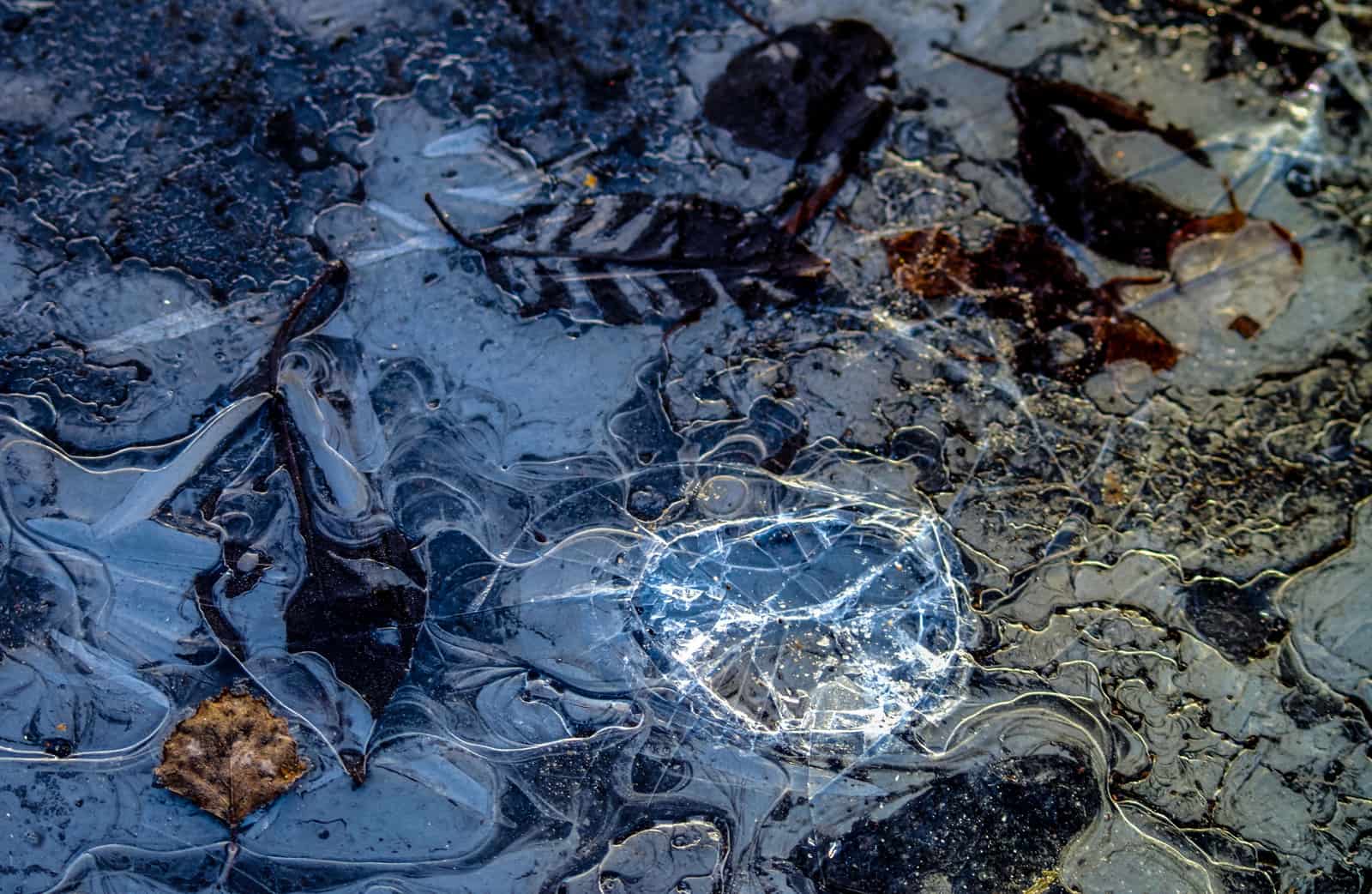 Ice forming on the surface of cold water